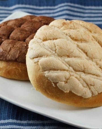 one vanilla topped and one chocolate topped pan dulce on a white plate