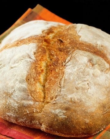 no knead artisan bread