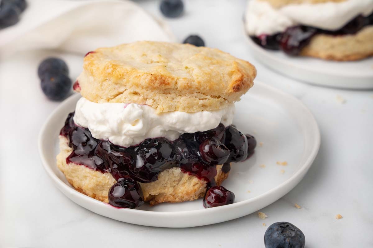 scone stuffed with blueberries and whipped cream on a white plate.