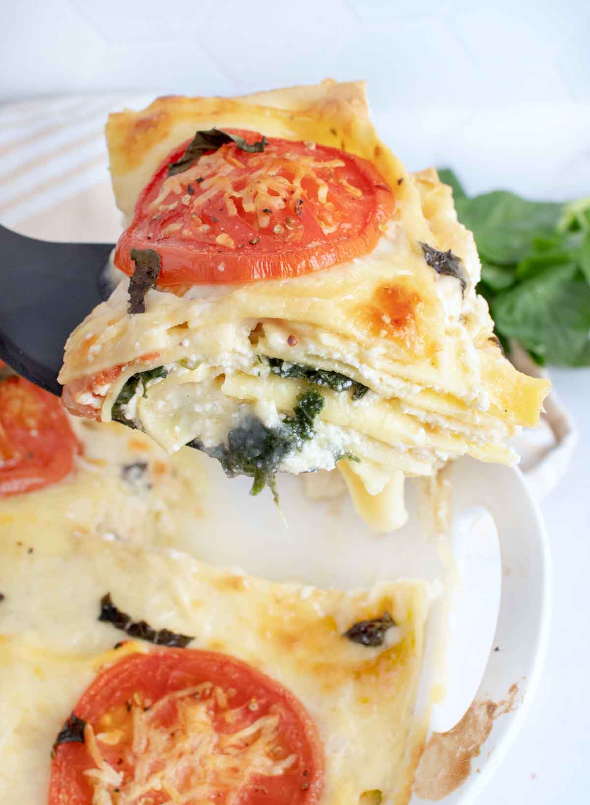 slice of vegetable lasagna on a black spatula above the pan of lasagna