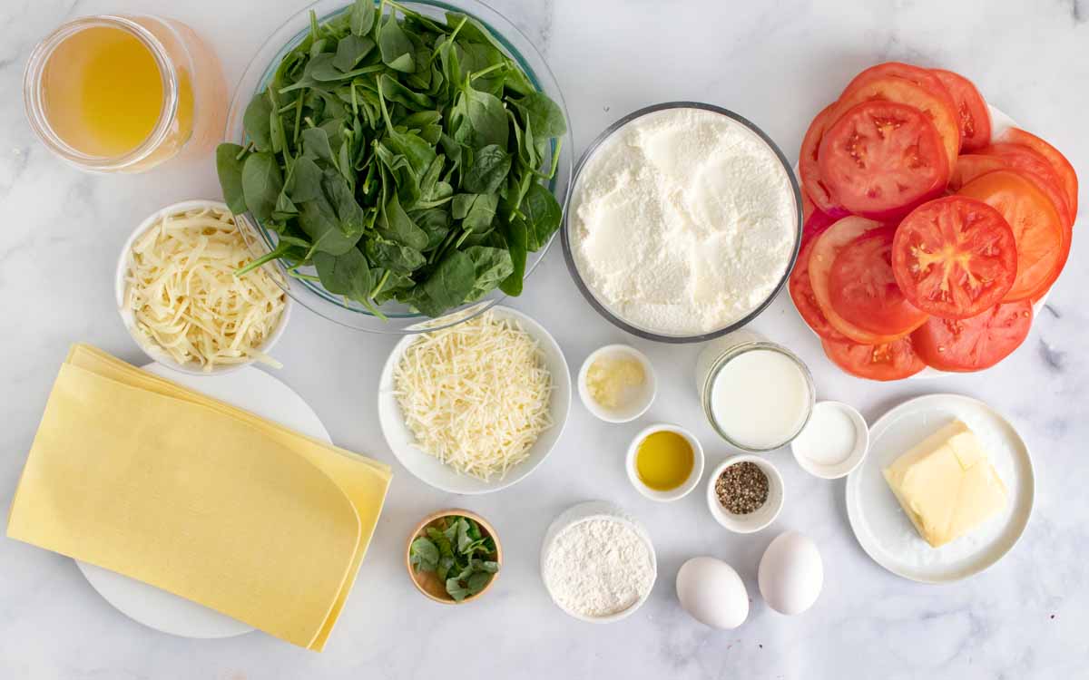 overhead view of ingredients to make recipe