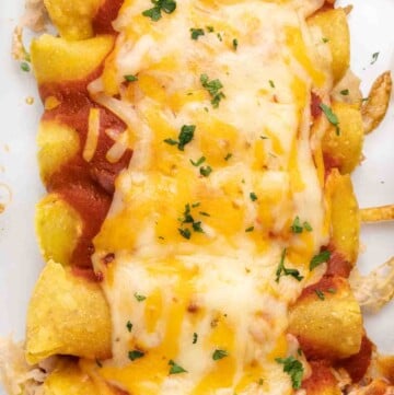 cooked chicken and cheese enchiladas in baking dish.