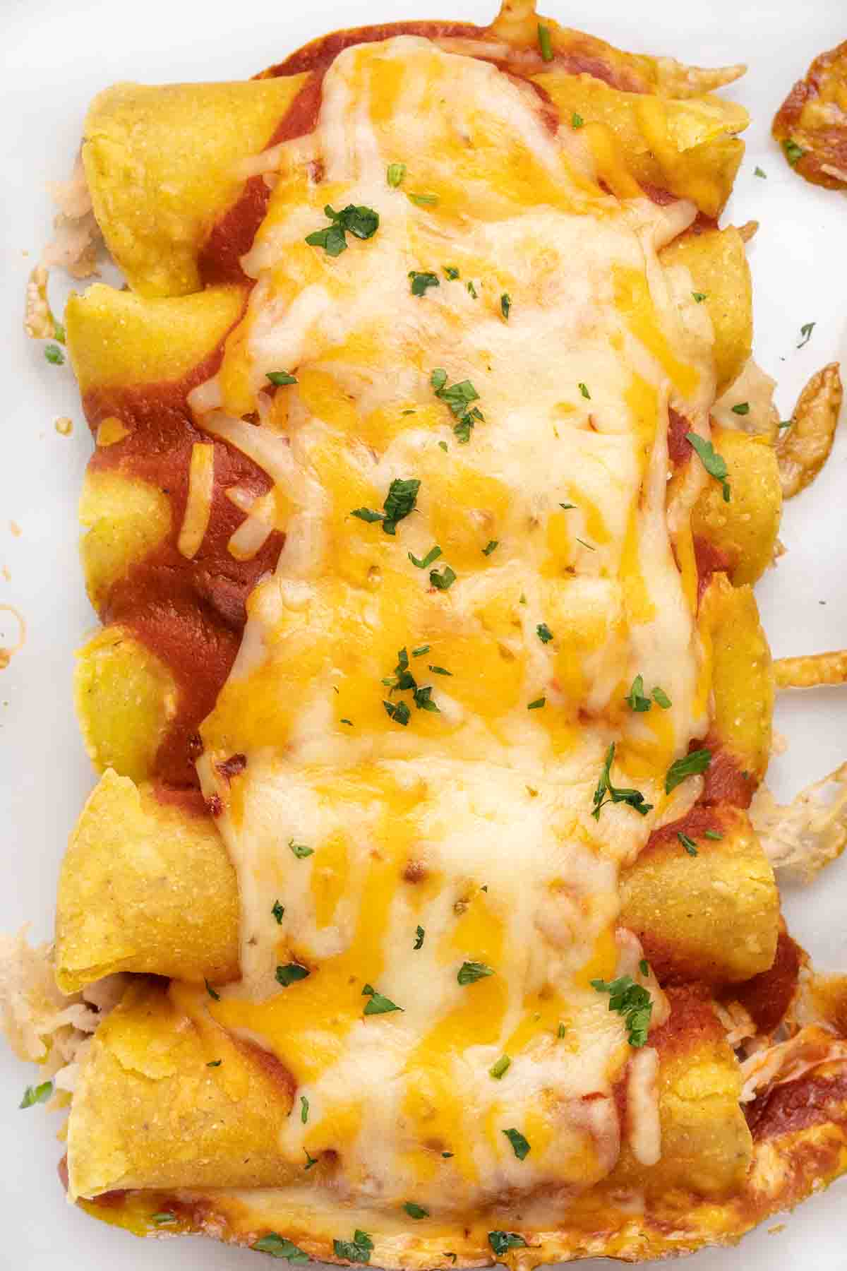 cooked chicken and cheese enchiladas in baking dish.