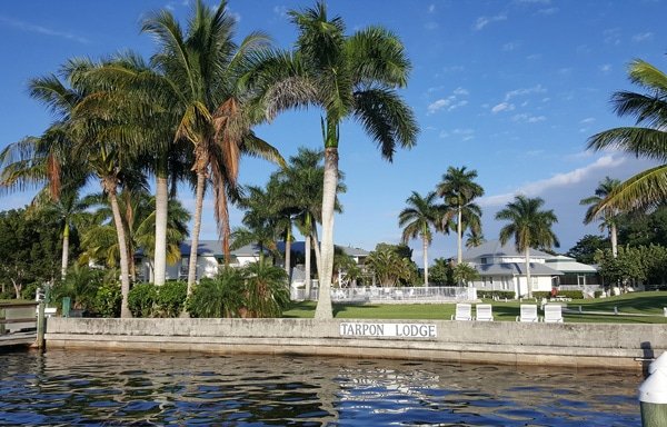 Water retaining wall, palm tree and the Tarpon lodge in the background with blue skies