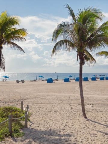 view of Pompano beach with palm trees and beach cabanas by the water