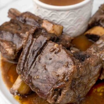 braised short ribs of beef on a white platter with sauce
