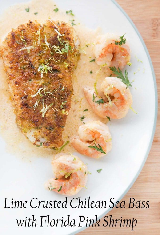 overhead view of Crusted Chilean Sea Bass with a row of shrimp  with a light sauce on a white plate