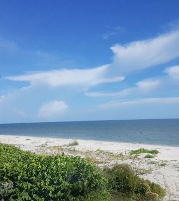 Sanibel and Captiva , A locals guide to Florida