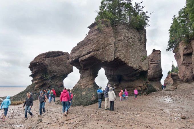 people walking around the base of hopewell rocks in the bay of fundy at low tide