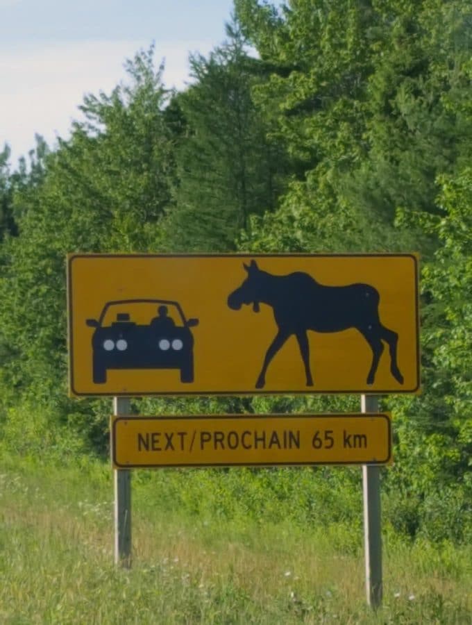 warning sign for moose on the highway in New Brunswick, Canada