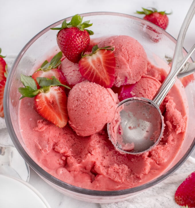 scoops of gelato in the gelato container with the scooper