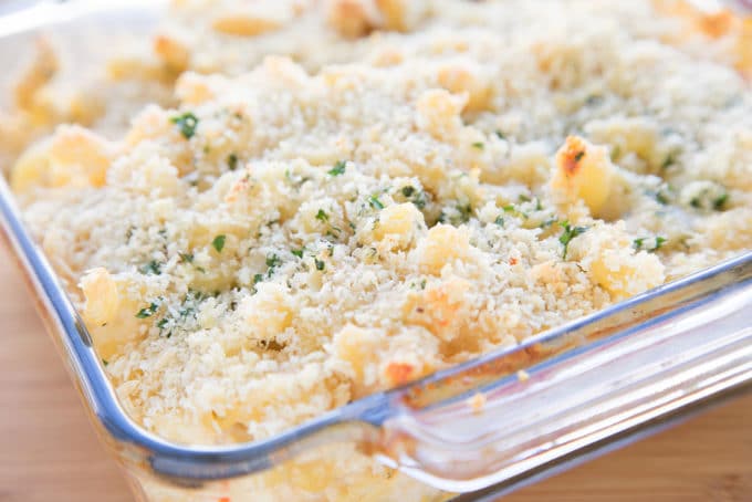 white truffle cheddar mac and cheese with panko bread crumbs and parsley in a baking dish right out of the oven