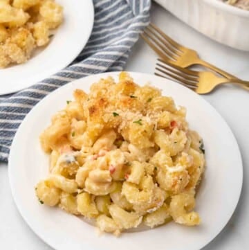 mound of truffled mac and cheese on white plate