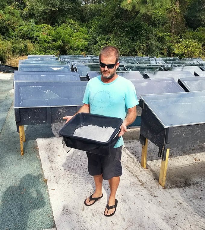 man holding bin of sea salt, standing by salt drying stations in the Outer Banks