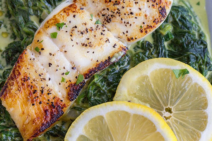 pan seared halibut on a bed of creamed spinach with a partial view of 2 lemon slices