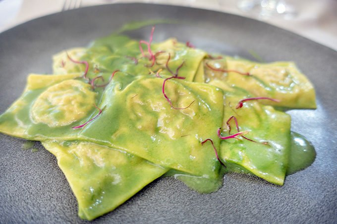 homemade ravioli with a spinach sauce on a grey plate in Stress on our Collette tour
