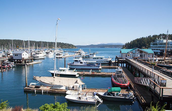 view of the harbor on Friday Harbor of the San Juan Islands