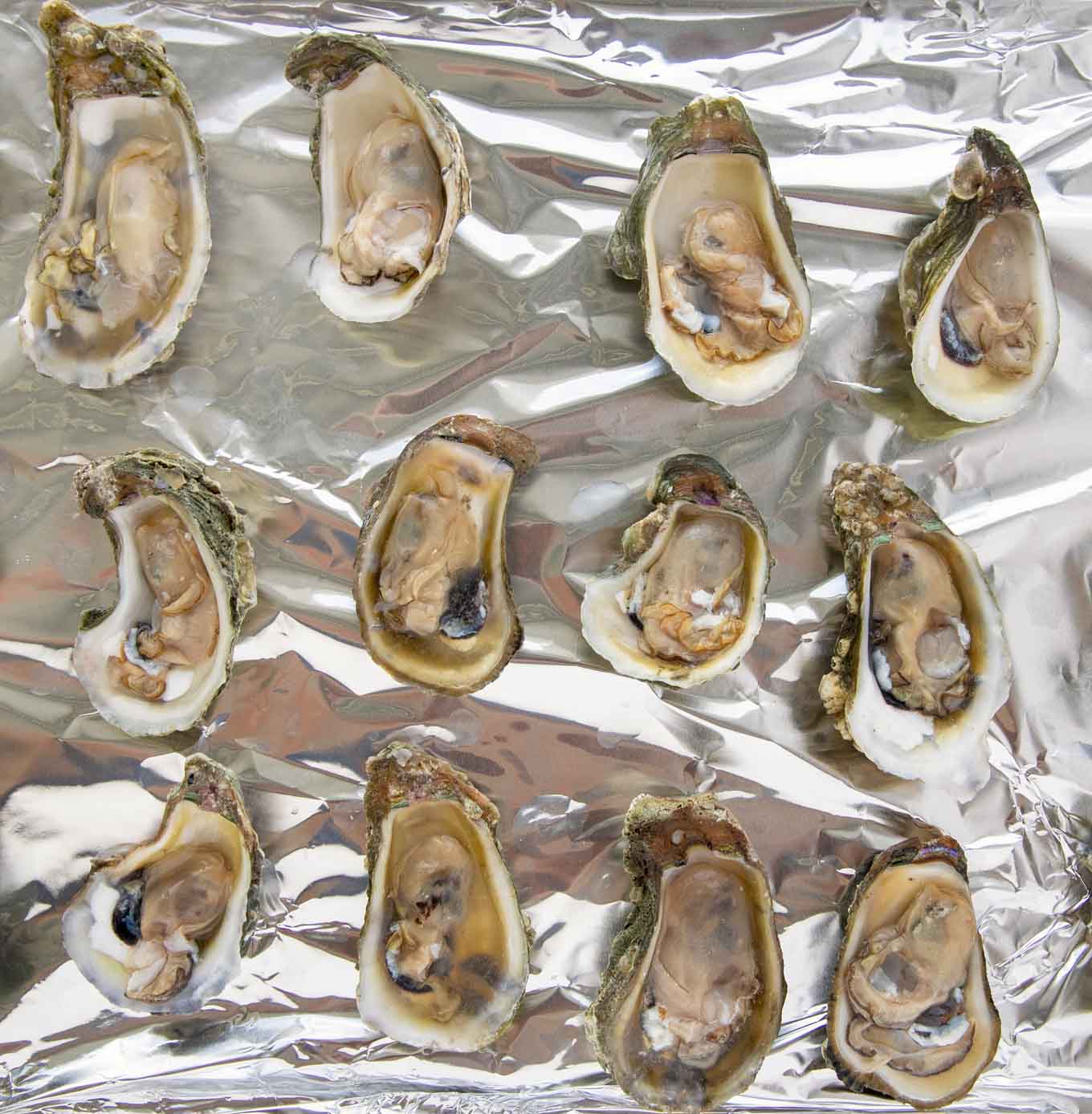 opened oysters on a foil lined pan