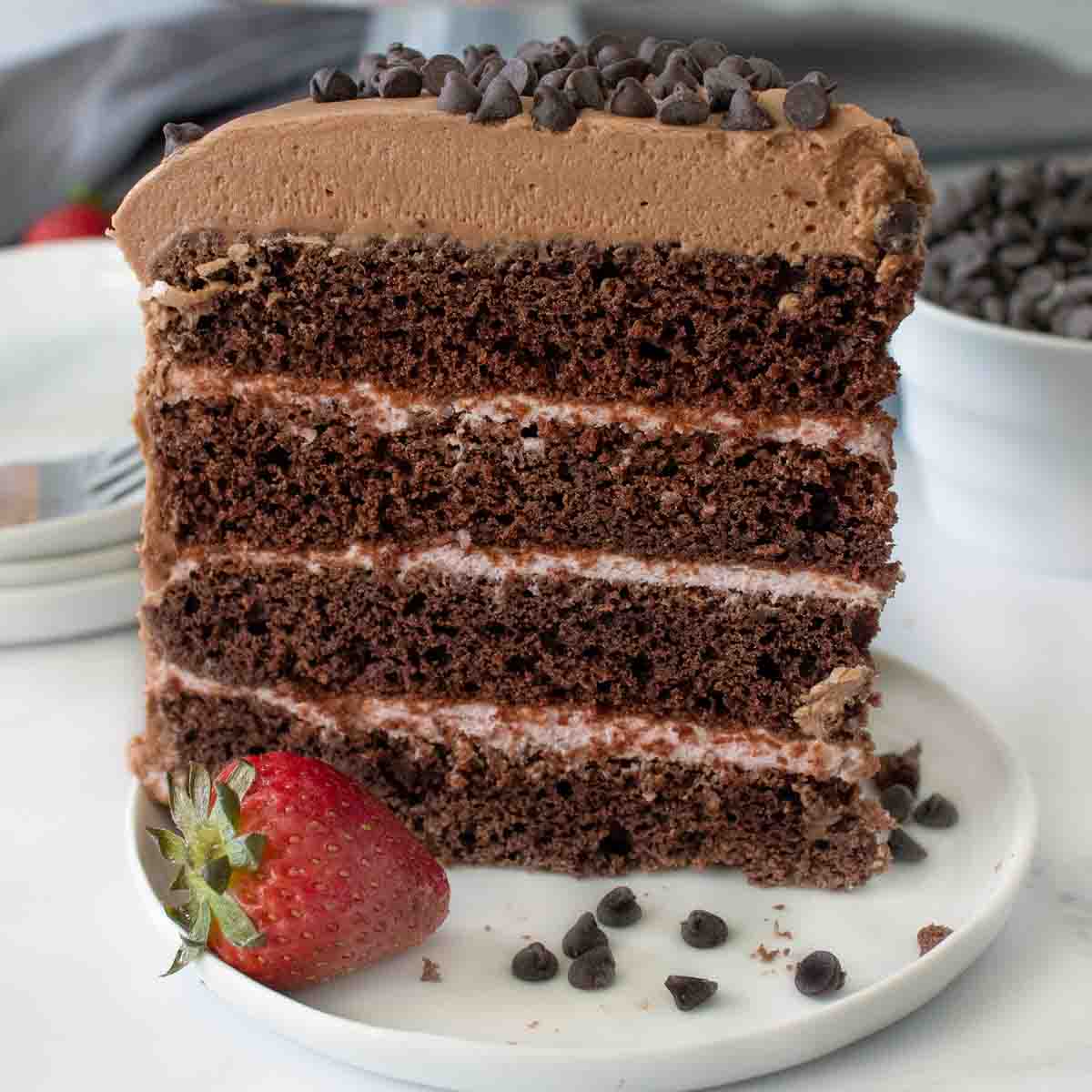 slice of chocolate cake on a white plate with a strawberry