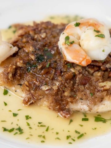 pecan snapper with shrimp on a white plate with margarita sauce