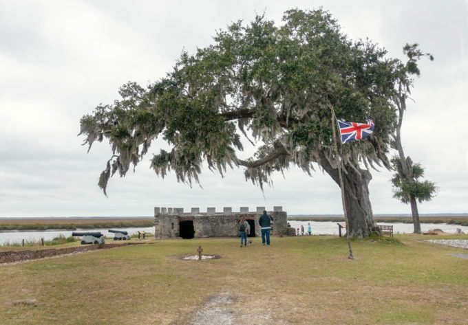 a large tree over the remains of Ft. Frederica