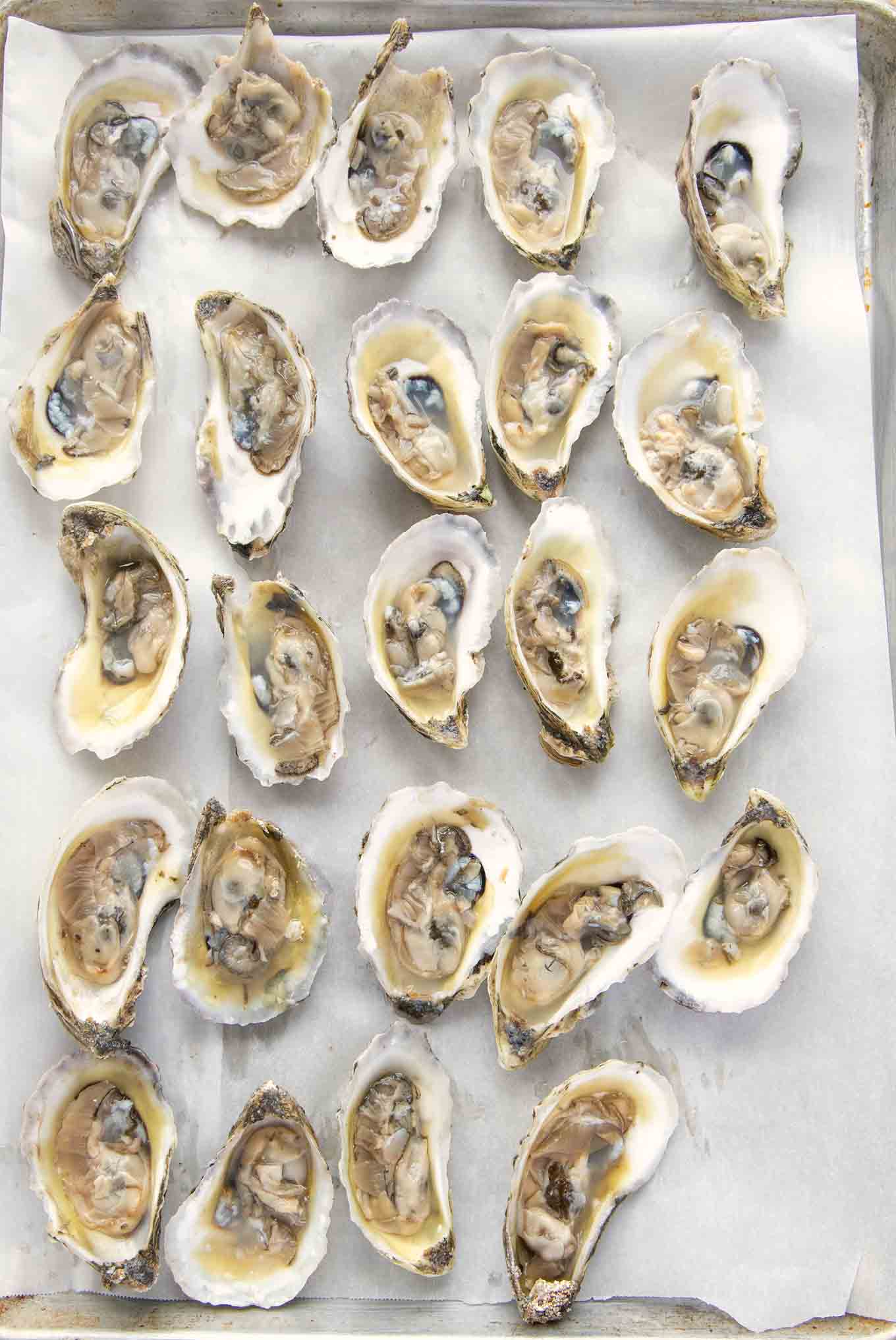 24 oysters open on the half shell on a sheet pan