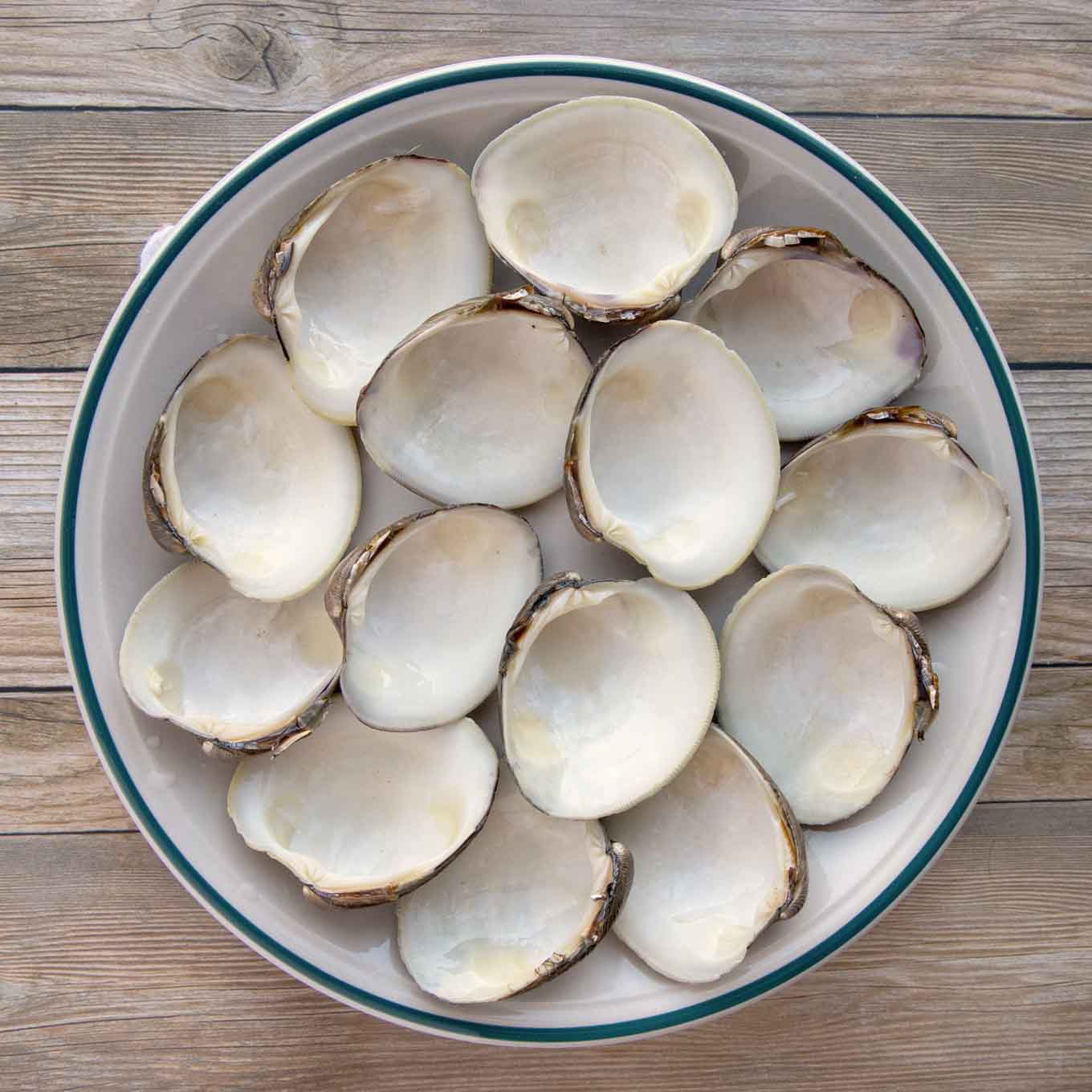 cleaned half clam shells on a plate