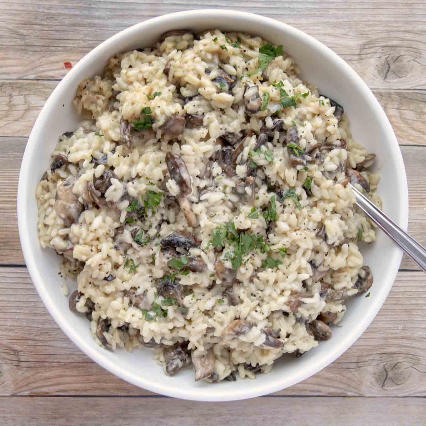 creamy mushroom risotto in a white bowl with a spoon
