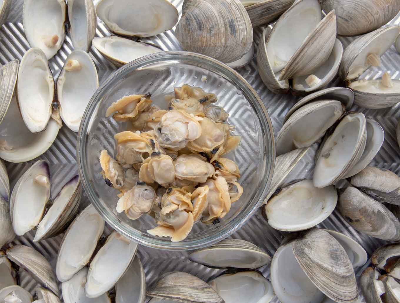 clam meat in a bowl surrounded by empty clam shells