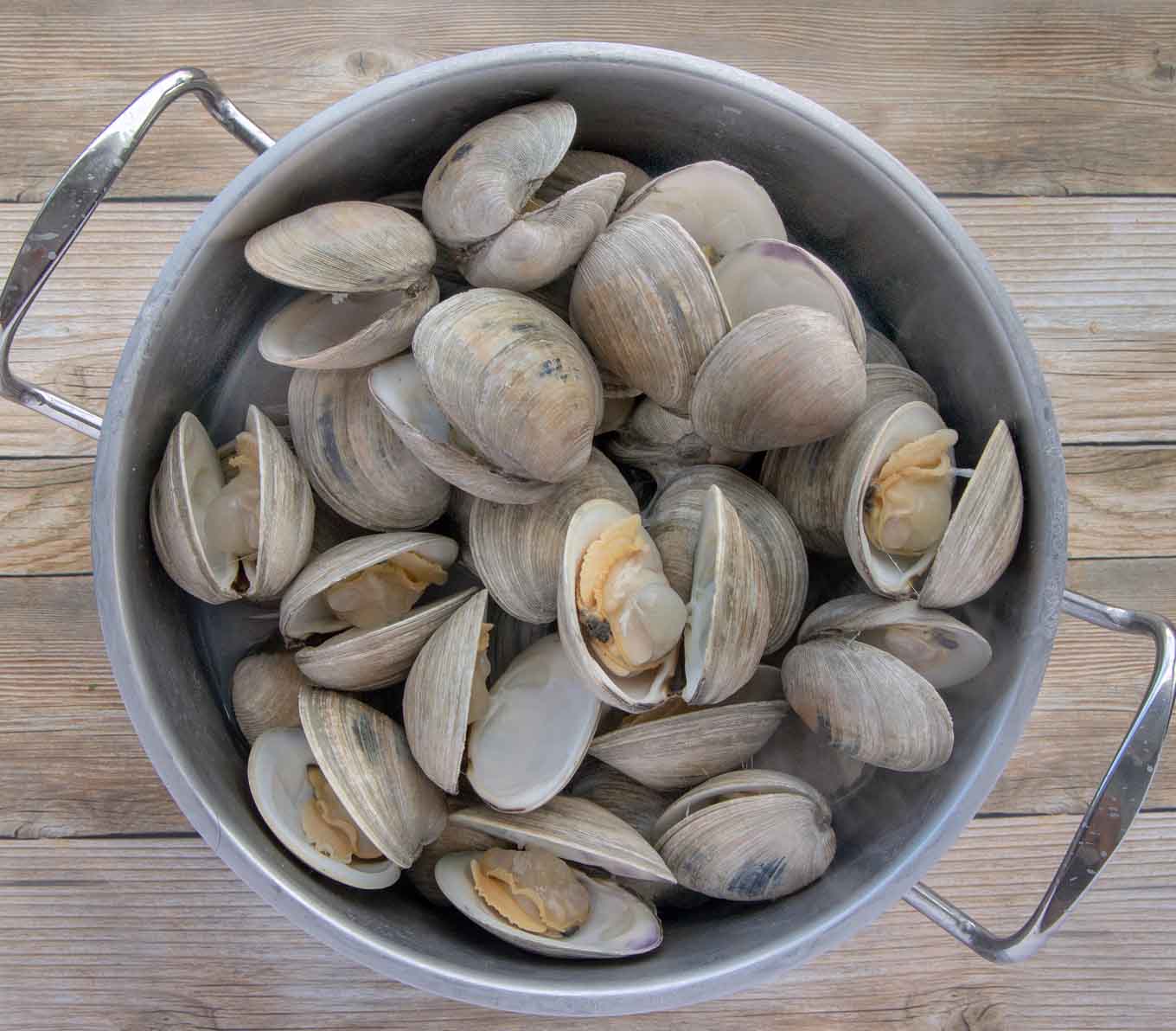 large pot of clams steamed open