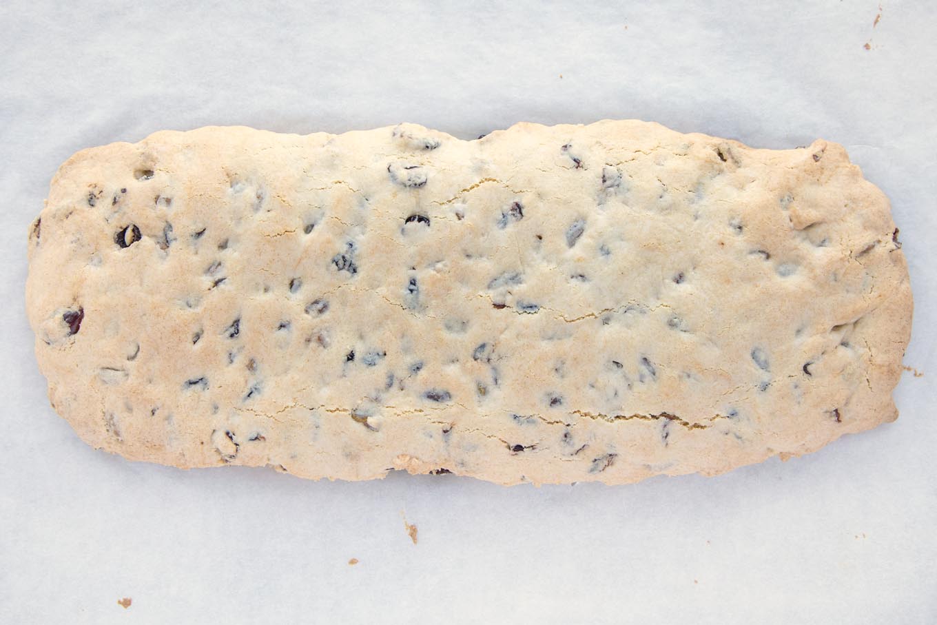 baked biscotti dough log on parchment paper