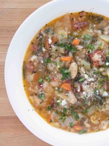 Tuscan bread soup in a white bowl
