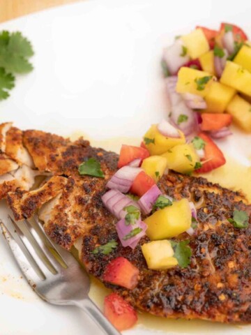 cropped-cajun-style-florida-snapper-with-fork-10-1.jpg