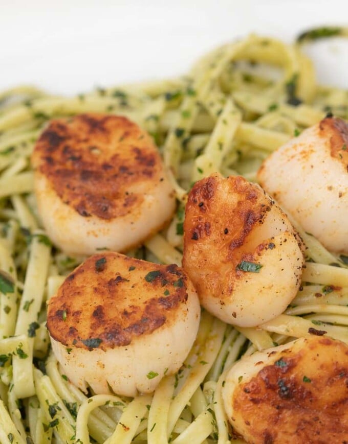 pan seared scallops on a bed of linguine alla pesto on a white plate