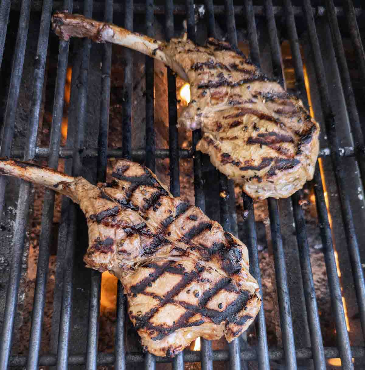 2 grilled marinated pork chops cooking on a gas grill