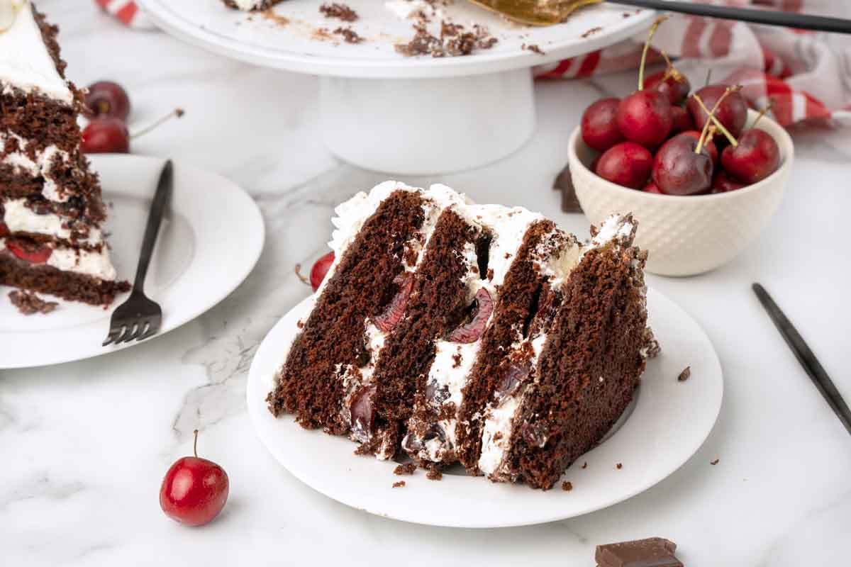 slice of black forest cake on a white plate