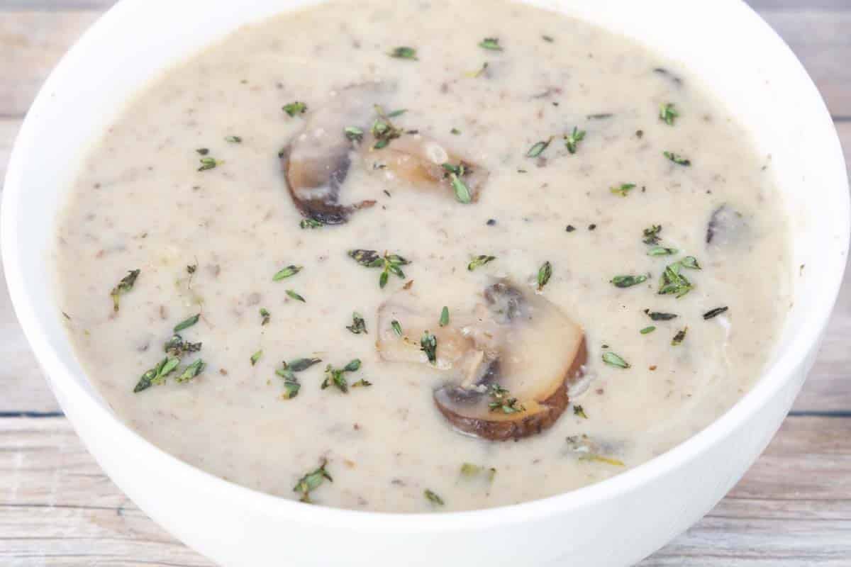 cream of mushroom soup in white bowl.