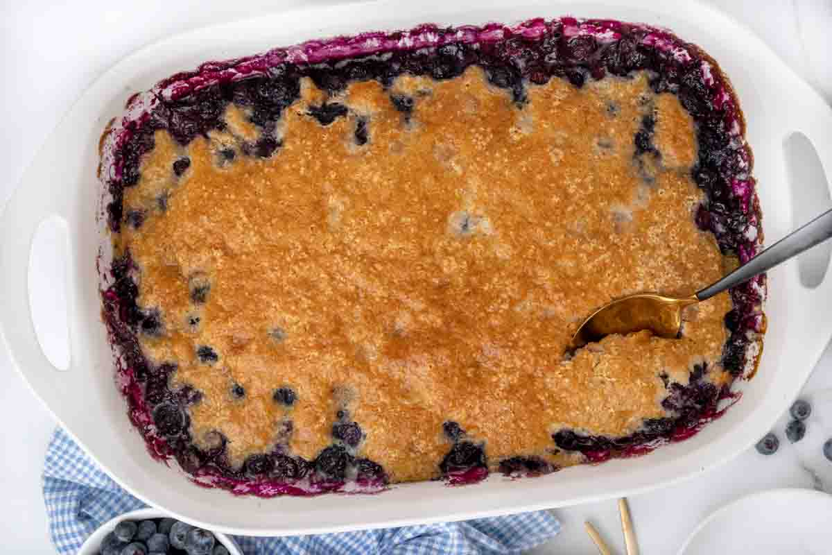 Pan of blueberry cobbler.