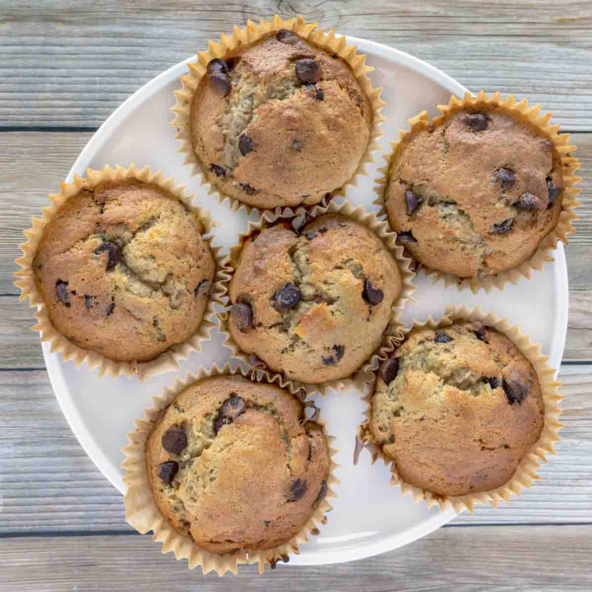 banana chocolate chip muffins on a white plate.