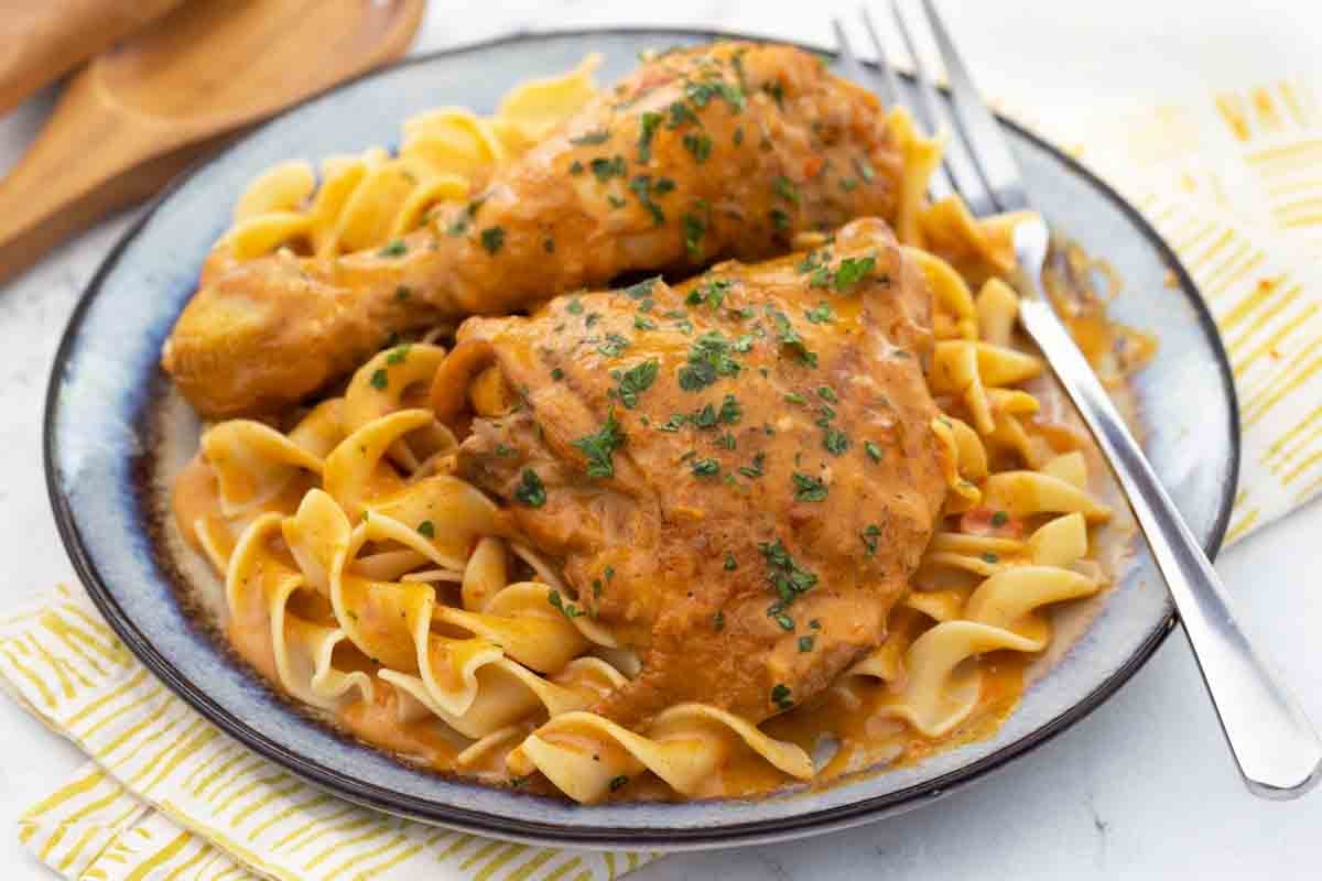 Chicken paprikash on a bed of noodles.