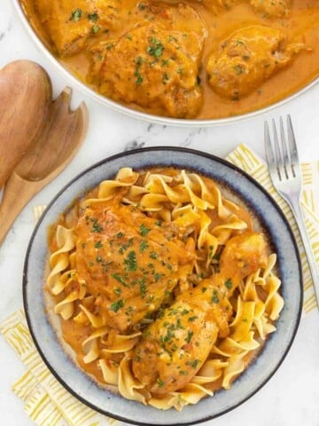 Chicken paprikash on a bed of noodles.