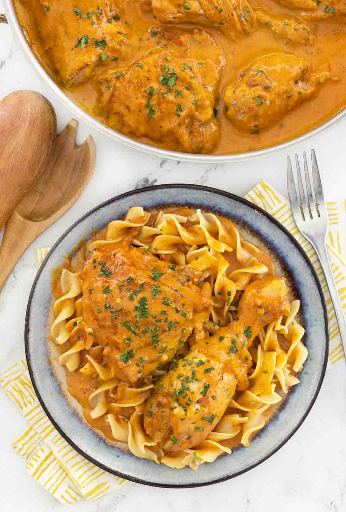 Chicken paprikash on a bed of noodles.