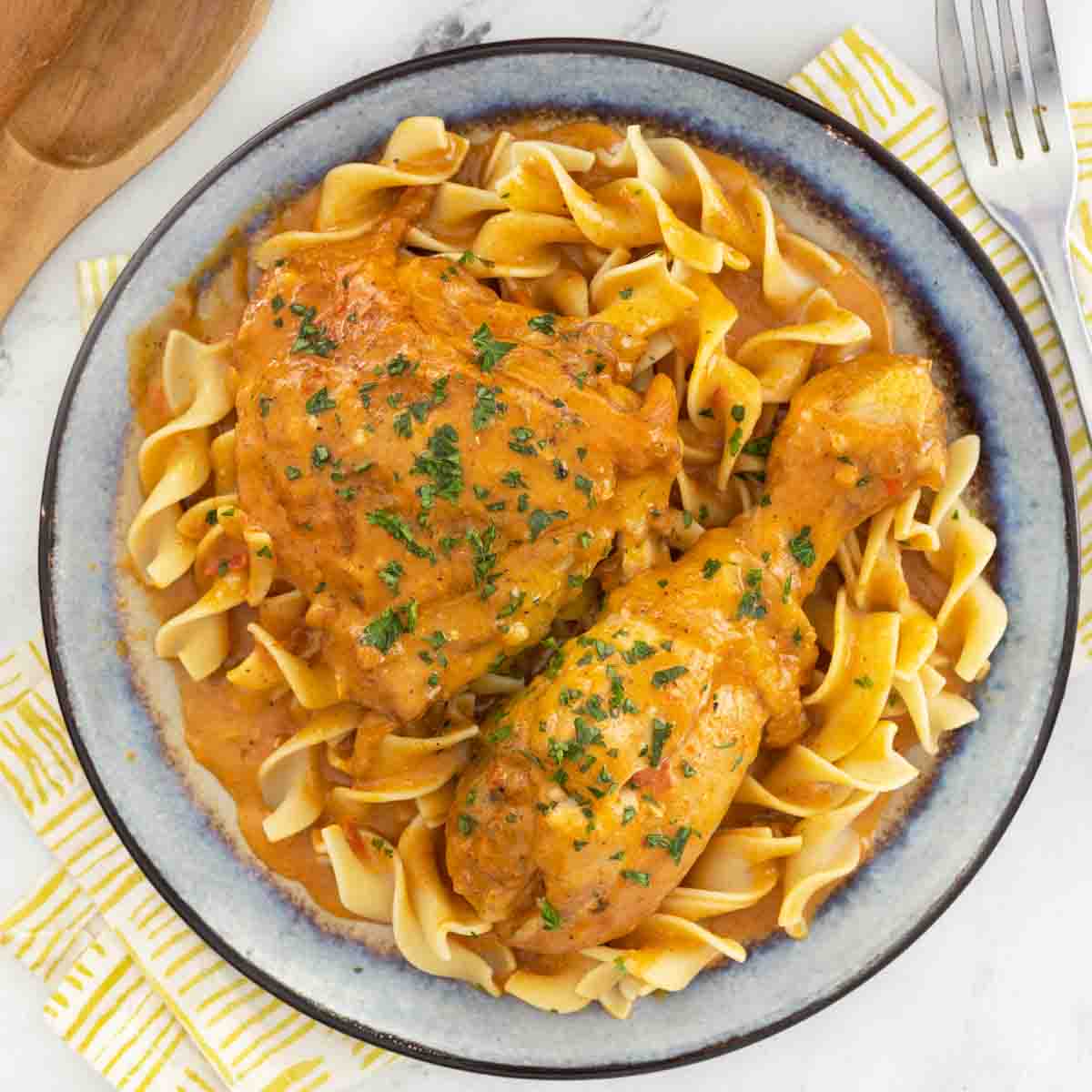 Chicken paprikash on a bed of noodles.