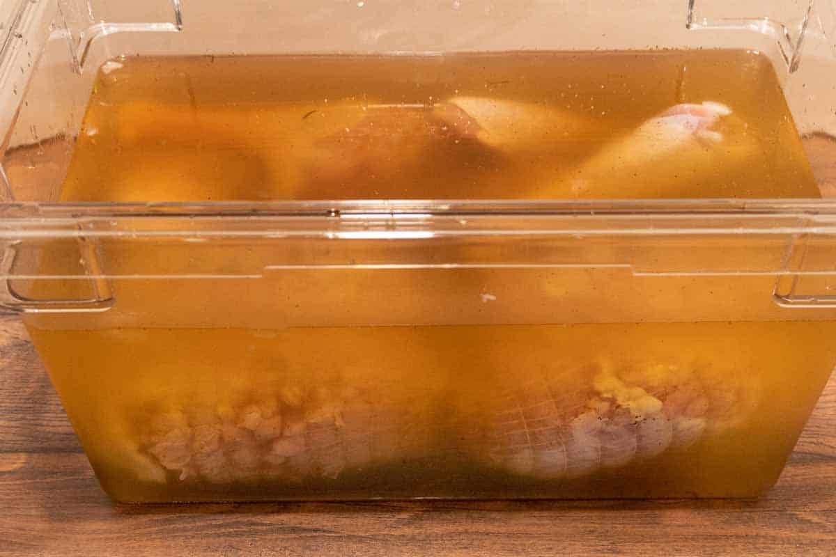 Turkey breasts in brine in large plastic container.