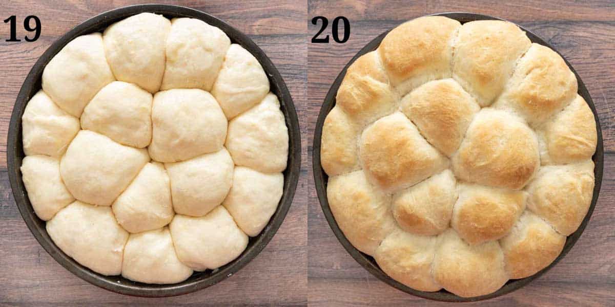 Collage showing final rise of dinner rolls and baked rolls in thepan.
