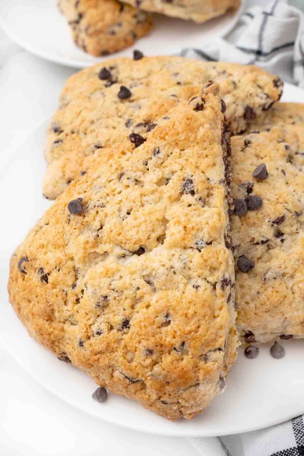 Chocolate chip scones on a white plate.