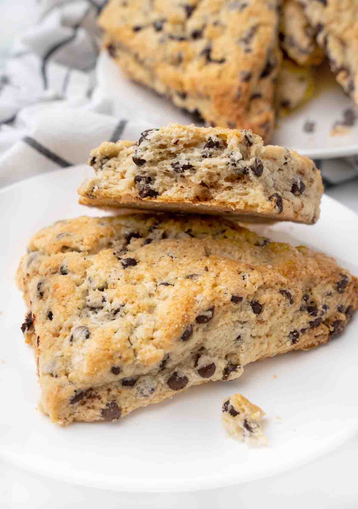 Chocolate chip scones on a white plate.