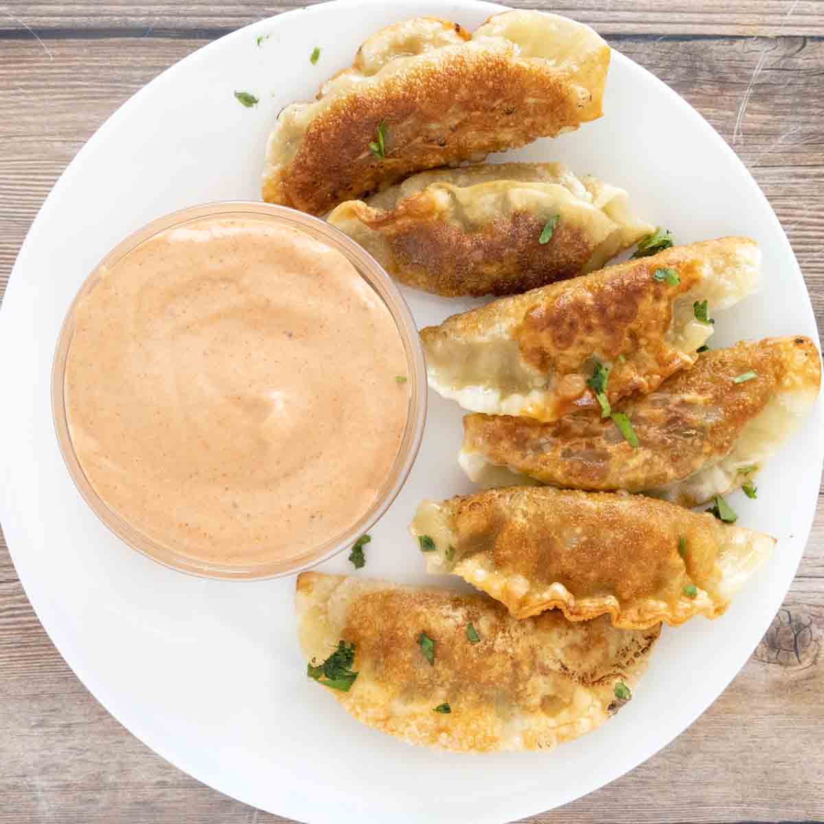 Yum Yum sauce with pot stickers on a white plate.