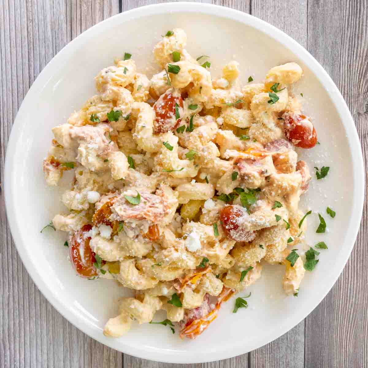 Boursin pasta on a white plate.