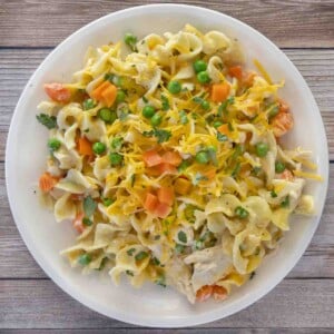 Chicken noodle casserole in a white bowl.